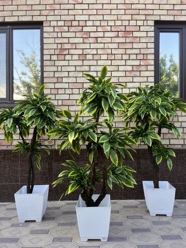 Декоративные цветы: Искусственные деревья — это идеальное решение для оформления интерьера at lalafo.kg — 22 Декоративные цветы: Искусственные деревья — это идеальное решение для оформления интерьера — 22