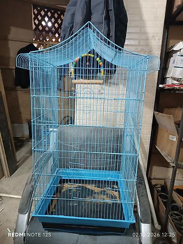 heyvanlar: Böyük ölçülü quş qəfəsi – dekorativ damlı, mavi rəng. - Material — 1
