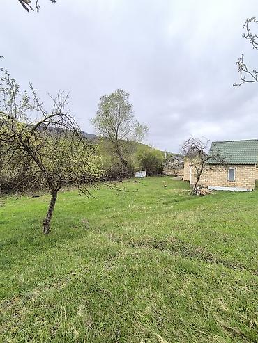 şahdag nabran: 6 sot, Tikinti, Mülkiyyətçi, Kupça (Çıxarış) — 5