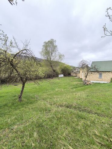 Torpaq sahələrinin satışı: 11 sot, Tikinti, Mülkiyyətçi, Kupça (Çıxarış) -da lalafo.az — 8 Torpaq sahələrinin satışı: 11 sot, Tikinti, Mülkiyyətçi, Kupça (Çıxarış) — 8