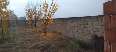 Torpaq sahələrinin satışı: Şəki-Qax yolunda Torpaq sahəsi – həyətyanı bağ - Hündür daş hasarla — 8