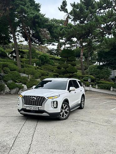 hyundai xcient: Hyundai Palisade: 2019 г., 2.2 л, Автомат, Дизель, Кроссовер — 2