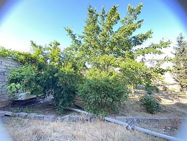 gurcustan: 5 otaqlı, 120 kv. m, Kredit yoxdur, Orta təmir — 1