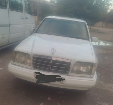 Avtomobil satışı: Mercedes-Benz 250: 2.5 l | 1995 il Sedan