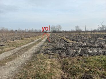 yaşmada torpaq qiymeti: 120 sot, Kənd təsərrüfatı, Mülkiyyətçi, Kupça (Çıxarış)