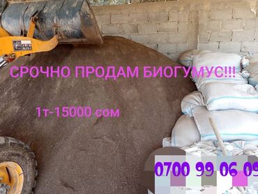 детская кровать 7 в 1: Биогумус — это органическое удобрение, полученное путем переработки