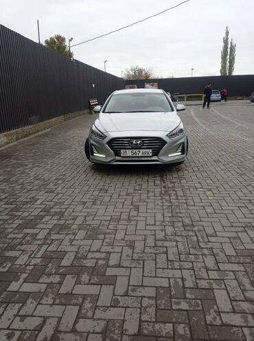 авто накидки: Hyundai Sonata: 2019 г., 2 л, Автомат, Газ, Седан