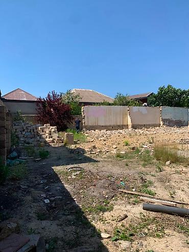 bulbule qesebesi: 5 sot, Tikinti, Kupça (Çıxarış) — 6