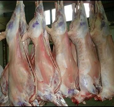 бараны аршан: Мясо баранина оптомсвежая,и чистая из нарына .% адал — 3