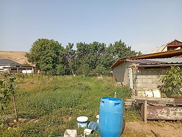 Продажа коттеджей и домов: 🏡 Продаётся дом в селе Нижняя Серафимовна, Ысык-Атинский район 🌄 — 4
