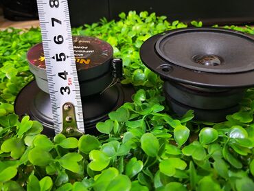 Динамики и колонки: НОВЫЙ Высокочастотные динамики от 1200 - до 2200сом. Качество — 11