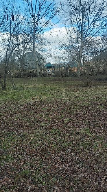 Torpaq sahələrinin satışı: 10 sot, Tikinti, Maklerlər narahat etməsin, Kupça (Çıxarış) — 7