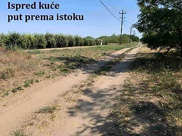 Kuće na prodaju: Prodaje se kuća/salaš u Hajdukovu na parceli od 3,5 jutra zemlje — 13