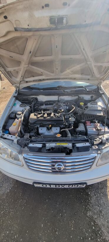 Nissan: Nissan Sunny: 1.6 l | 2008 il Sedan — 4