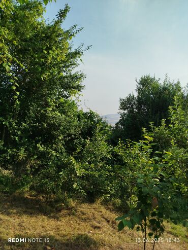 Torpaq sahələrinin satışı: 186 sot, Tikinti, Maklerlər narahat etməsin, Kupça (Çıxarış) — 16