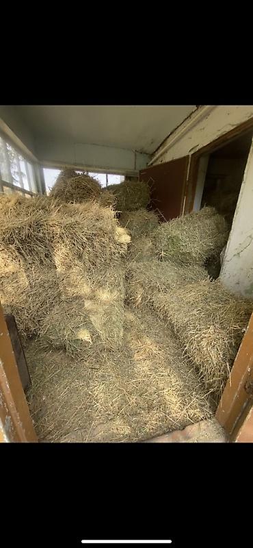 Сено в тюках - Заготовлено в рулонах и прямоугольных тюках средней