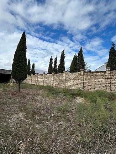 Torpaq sahələrinin satışı: 24 sot, Tikinti, Mülkiyyətçi, Kupça (Çıxarış) — 6