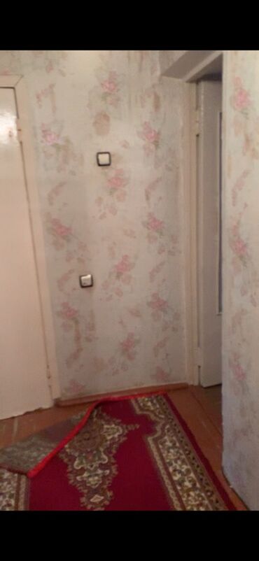 Uzunmüddətli kirayə mənzillər: Salam aleykum Neftçala şəhırində mərkəzdə parkın yanındakı 5-mərtəbəli -da lalafo.az — 3 Uzunmüddətli kirayə mənzillər: Salam aleykum Neftçala şəhırində mərkəzdə parkın yanındakı 5-mərtəbəli — 3