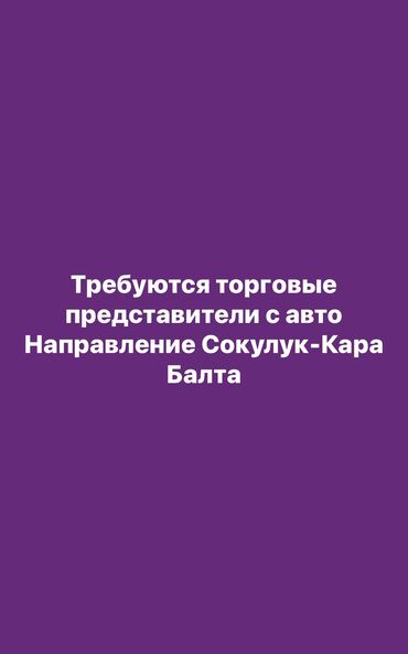 работа в торговом центре: Торговый агент. С личным транспортом