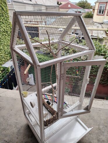 Qəfəslər: Əl işi taxda qəfəs qiyməti 160 azn real alıcılara endirim etmək olar — 7