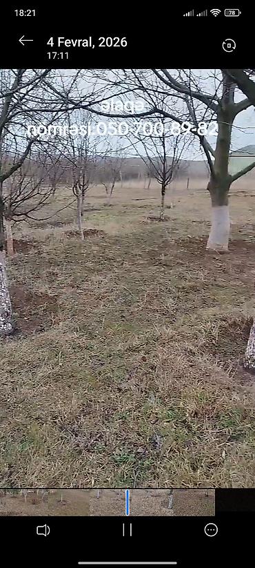 ismayıllı a frame evlər: Pirəkəşkül, 100 kv. m, 2 otaqlı, Hovuzsuz, Qaz — 1