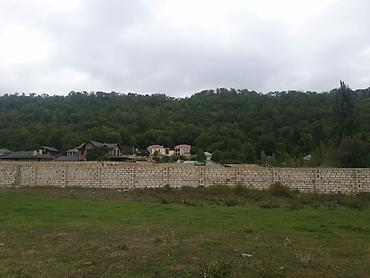 Torpaq sahələrinin satışı: Tikinti — 25