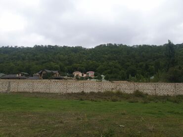 Torpaq sahələrinin satışı: 15 sot, Kənd təsərrüfatı, Mülkiyyətçi, Kupça (Çıxarış) — 12