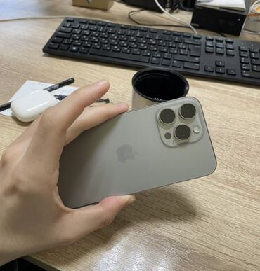 Apple iPhone: IPhone 15 Pro Max, Б/у, 256 ГБ, Natural Titanium, Чехол, Кабель, 90 %