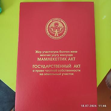 Кыймылсыз мүлк: 4 соток, Кызыл китеп — 2