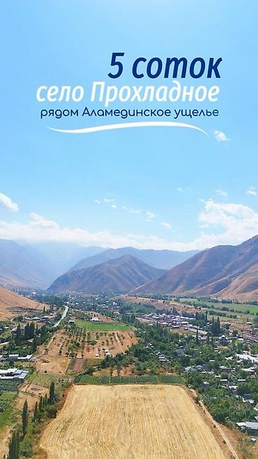 5 соток, Для бизнеса, Тех паспорт, Договор купли-продажи