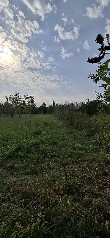 corat ev alqi satqisi: Tikinti — 10