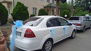 Продажа авто: Chevrolet Aveo: 1.4 л | Седан — 2
