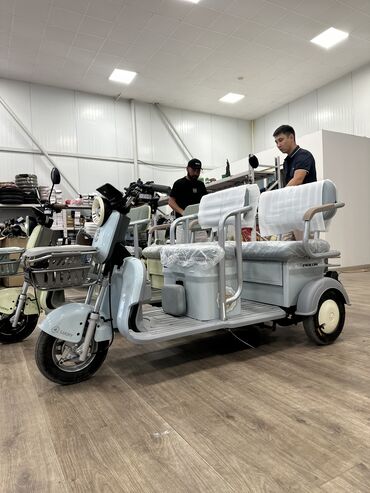 Мотороллеры муравей: Мотороллер муравей Электро, 50 км, До 299 кг, Новый — 2