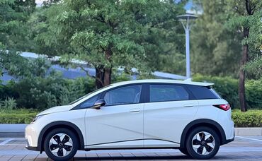 батарея на гироскутер: BYD DOLPFIN Кузов и дизайн: - Пятидверная компоновка, выразительные