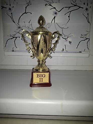 кубок купить: Кубок наградной «BIG II» - Материал: металл/металлизированный пластик — 1