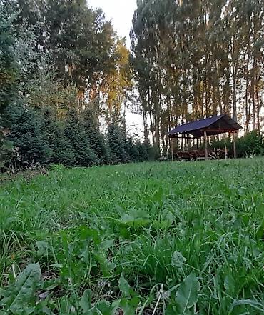 Другие услуги: 🌲 Зона отдыха "Фазенда"🌲 К вашим услугам мы предлагаем в аренду: ☀️ — 16