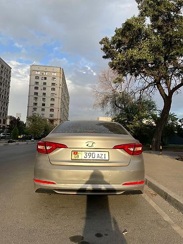 соната жёлтый: Hyundai Sonata: 2018 г., 2 л, Автомат, Газ — 9