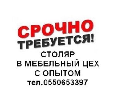 молярная работа: Требуется Столяр, Оплата Дважды в месяц, 1-2 года опыта
