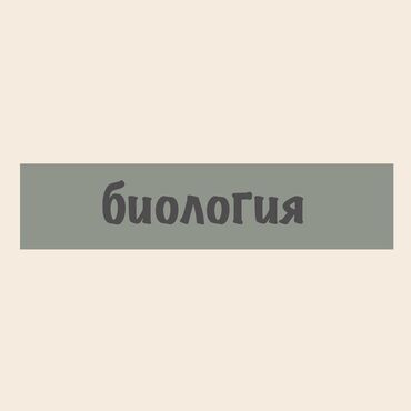 набор и распечатка текста: Репетитор Биология, Математика, Арифметика Подготовка к экзаменам, Подготовка к олимпиаде