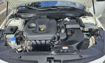 Kia: Kia K5: 2019 г., 2 л, Автомат, Бензин, Седан — 17