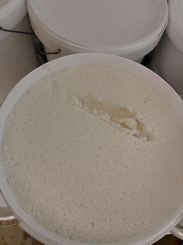 Мёд: Белый мёд ат-баши (эспарцет кремованный натуральный белый) Ведро 25кг — 6