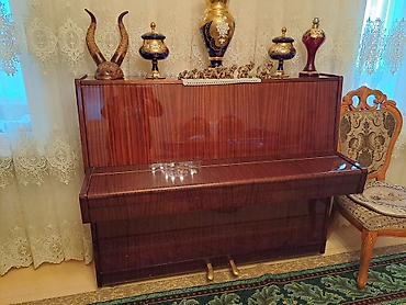 Musiqi alətləri: Belarus upright pianino . Gəncə Şəhərində Satılır - Model — 6