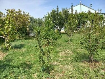 Həyət evləri və villaların satışı: 🏡 Təcili satılır: Sumqayıt – Yaşma bağlarında 3 otaqlı bağ evi (6 sot) — 9