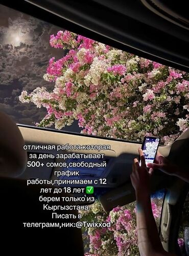 Другие специальности: Предлагается работа с гибким графиком, позволяющая зарабатывать от 500