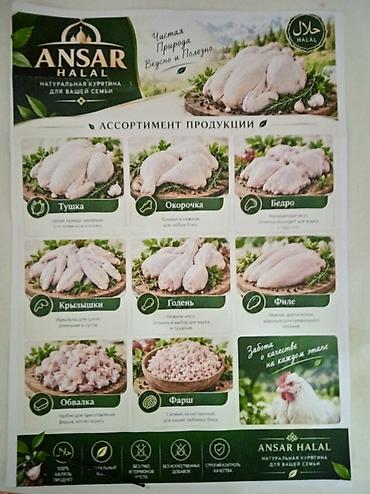 собаки на мясо: ANSAR HALAL — натуральная курятина для вашей семьи Халяльная — 4