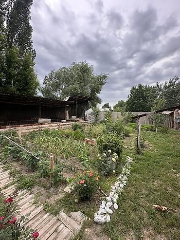 Продажа домов: 📍 В Шопокове продается дом на участке 8.5 соток, 65 кв.м. 🏡Дом — 8