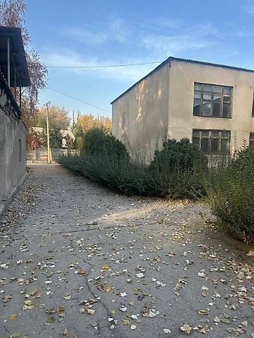 кызыл кия кыз: 100 соток, Кызыл китеп, Техпаспорт — 3