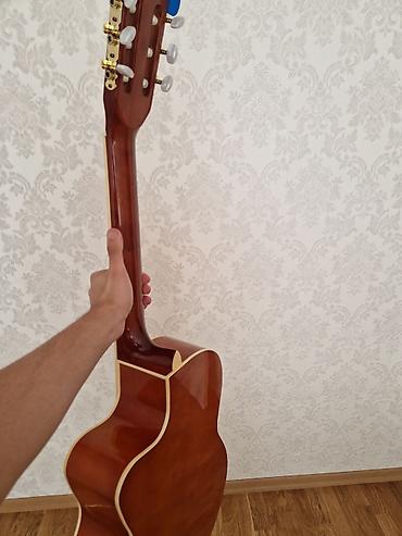 ucuz gitara: Tayste firması problemsiz classic gitara üzərində çanta hədiyyə — 1