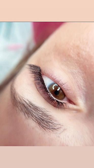 Другие курсы: Обучение базовый курс По наращиванию ресниц/Перманентному макияжу по — 12