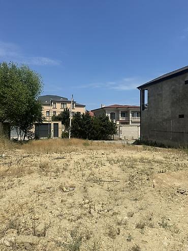 evler sumqayit: 6 sot, Tikinti, Mülkiyyətçi, Kupça (Çıxarış) — 6